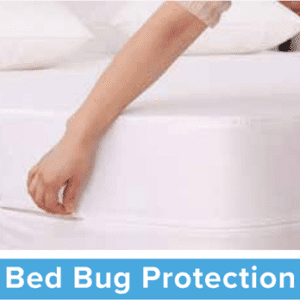 bed-bug-protection-encasement